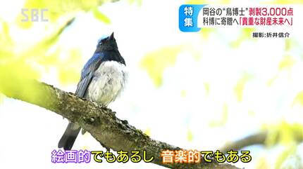 今では捕獲できない国の天然記念物や絶滅危惧種も「絵画的でもあり音楽