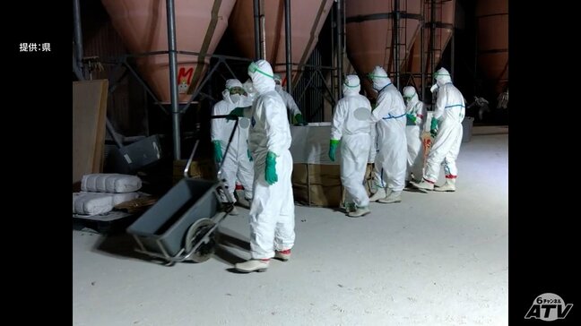 青森県東北町の養鶏場で発生の「高病原性鳥インフルエンザ」早ければ27日中に殺処分完了の見通し 防疫措置が終わるのは5月1日(金)の予定|TBS NEWS DIG