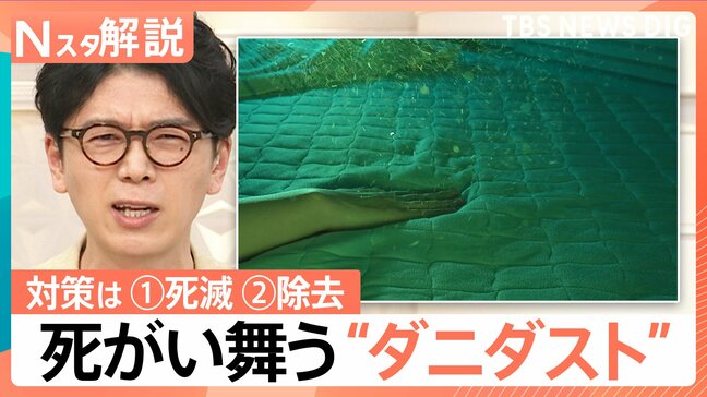 「蓄積した死がいとフンが最も多くなるのが9月」“ダニダスト”にご注意　週一回以上の対策を！【Nスタ解説】|TBS NEWS DIG