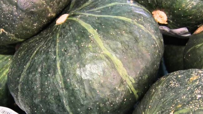 カボチャ泥棒 約2.5トン112万円の被害 収穫間際の犯行に畑の管理者はショックと驚き 沖縄県石垣島|TBS NEWS DIG