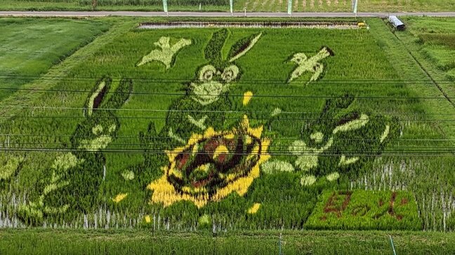 今年の題材は「貝の火」　宮沢賢治の世界が表現された田んぼアート見ごろ　岩手・花巻市|TBS NEWS DIG