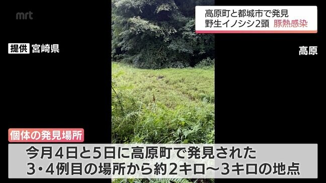 宮崎県内5例目・6例目 高原町と都城市高崎町で野生イノシシから「豚熱」の感染確認|TBS NEWS DIG