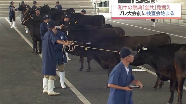和牛の祭典 北海道「全共」を見据たプレ大会を前に　宮崎県内で牛の検査会始まる|TBS NEWS DIG