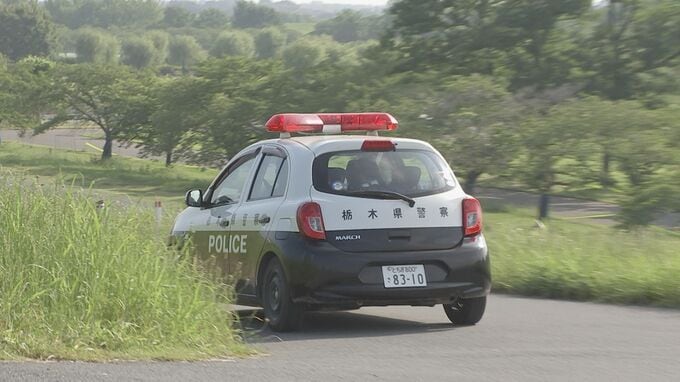 アメリカンピットブルテリア2匹　ドローンで探すも見つからず…あすも捜索へ　栃木市|TBS NEWS DIG