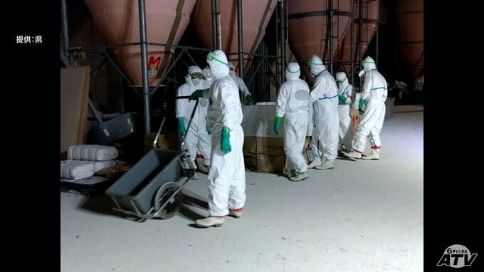 青森県東北町の養鶏場で発生の「高病原性鳥インフルエンザ」早ければ27日中に殺処分完了の見通し　防疫措置が終わるのは5月1日（金）の予定|TBS NEWS DIG