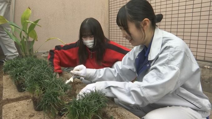 国宝松江城をのぞむ宿の庭園を手掛けるのは…「高校生」　自ら設計・資材調達も　|　BSSニュース | BSS山陰放送