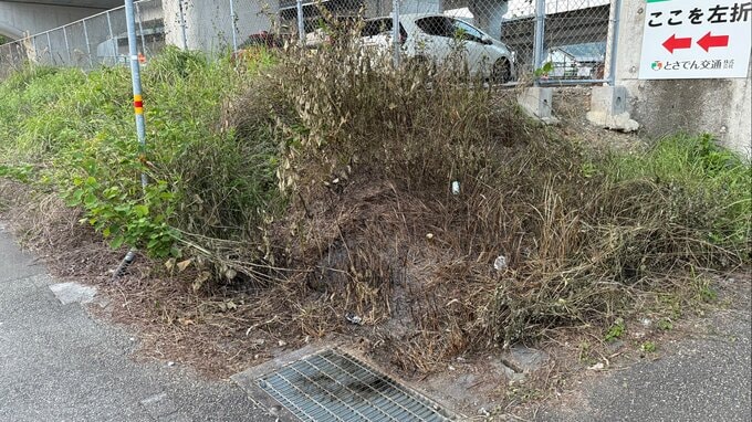 「雑草が燃えている」通報も、消防到着時に火は消えていた⋯市街地の高架下で火事、焼け跡には熱で溶けた空き缶も　警察が出火原因を捜査【高知】　|　高知のニュース・天気｜KUTV NEWS | KUTVテレビ高知