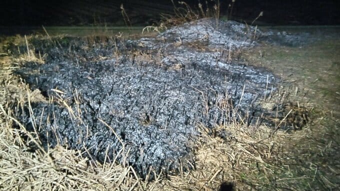 「人がヤケドを負って倒れている」焦げ草の近くで心肺停止 その場で死亡確認　事件事故の両面から捜査　新潟・長岡市　|　新潟のニュース・天気｜BSN NEWS｜BSN新潟放送