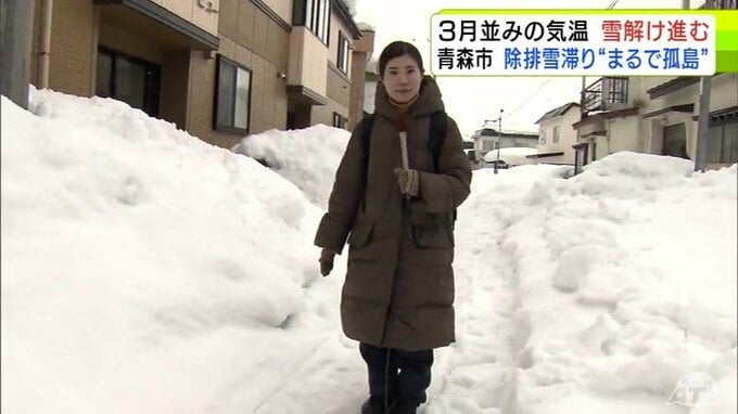 除雪が来ない…10日以上家から車出せず " まるで孤島"　車がすれ違えるはずの生活道路は人ひとりが歩くほどの道幅にまで…「どこの家も車出せなくて…病院にも行けない、買い物もできない」除排雪滞る青森市 　住民は「取り残された感じ」|TBS NEWS DIG