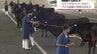 和牛の祭典 北海道「全共」を見据たプレ大会を前に　宮崎県内で牛の検査会始まる　|　MRTニュース ｜ ＭＲＴ宮崎放送