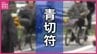 最多は「ながらスマホ」 自転車に「青切符」 制度開始１か月で交付は61件　「一時不停止」や「信号無視」も　10～20代が約６割を占め　広島　|　RCC NEWS | 広島ニュース | RCC中国放送