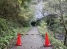 国定公園・帝釈峡で50㎝の落石　直撃して男性死亡か　通行止め実施中　広島・庄原市　|　RCC NEWS | 広島ニュース | RCC中国放送