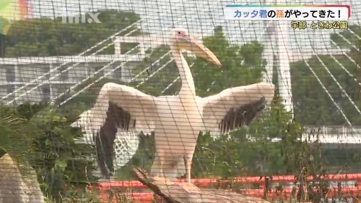 カッタくん花火柄 カッタくん花火柄 【公式通販】