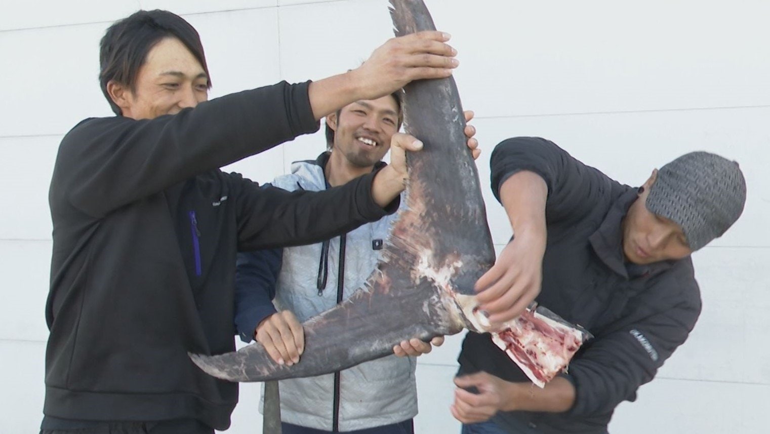 一生に一度かな」3m41cmのカジキを手づかみで捕獲の漁師 釣り具はなく