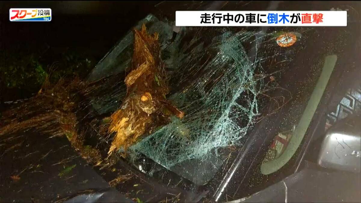 倒木 衝撃映像】走行中の車を倒木が直撃、フロントガラス大破の瞬間 仙台
