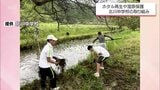 ホタルの再生に湿原の保護　地域の環境保全に取り組む延岡市立北川中学校|TBS NEWS DIG