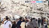 桜の木の下で 「いつもより倍おいしい」 桜見頃の公園 多くの花見客でにぎわう 新潟市中央区|TBS NEWS DIG