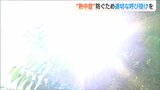 各地で相次ぐ『夏日・真夏日』熱中症を防ぐための心得まとめ 日陰を歩き 室温もこまめに確認を! | 新潟のニュース・天気|BSN NEWS|BSN新潟放送