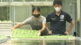 仕事と旅を両立…地域を助けるサービス「おてつたび」とは | 大分のニュース|OBS NEWS|大分放送