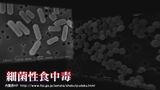 食中毒は“6月”が最多のワケ…「カレー」と「焼肉」に気を付けて！保健所に対策を聞いてみた　|　石川県のニュース｜MRO北陸放送