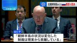北朝鮮制裁の専門家パネル“任期延長”を否決　ロシアが拒否権行使　国連安保理|TBS NEWS DIG