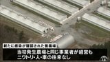 新たに鳥インフル確定 11万羽を殺処分へ 青森県横浜町 | 青森のニュース│ATV NEWS│青森テレビ