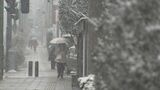 長野県内の大雪警報は注意報に 大北地域と中部は5日明け方にかけて大雪や路面の凍結による交通障害に注意|TBS NEWS DIG