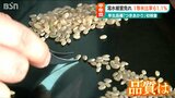 「渇水の被害少なく一等米比率は平年並み」早生品種『つきあかり』初検査 新潟・上越市|TBS NEWS DIG