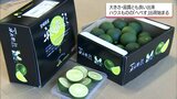 日向地域特産のかんきつ類「へべす」　ハウスものの出荷が始まる|TBS NEWS DIG