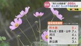 認知症で行方不明は1万9000人超えで過去最多 居場所知らせるシステムに登録呼びかけるも… 富山 | 富山のニュース|天気・防災|チューリップテレビ