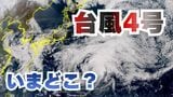 【台風情報】台風4号（シンラコウ）19日（日）南鳥島近海を北東に進む…21日（火）には温帯低気圧へ【雨と風のシミュレーション】|TBS NEWS DIG