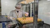 岩手県内各地の選りすぐりの食料品や工芸品が大集合！いわてマルシェ2026が開幕　盛岡市|TBS NEWS DIG