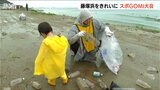 「ちっちゃいのがいっぱい…ウミガメが飲んじゃ駄目なやつ」スポGOMI大会 in 藤塚浜「ごみ拾いは スポーツだ!」新発田市|TBS NEWS DIG