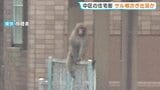 「なんでここにサルが…？」　広島市中区の住宅街にサル出没か　防犯カメラには黒い鳥を追い払うような様子も|TBS NEWS DIG