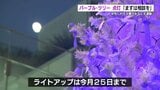 熊本市のDV相談は年1300件 女性が生きやすい社会を願って「パープル・ツリー」が点灯 | 熊本のニュース|RKK NEWS|RKK熊本放送
