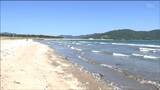 石巻市の渡波海水浴場「今年は開設せず」去年猛暑で死んだ魚が大量に漂着 宮城|TBS NEWS DIG