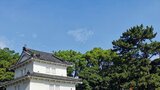 九州から近畿にかけて梅雨明け 異例の早さ、6月中は九州南部以外で統計史上初 | 大分のニュース|OBS NEWS|大分放送