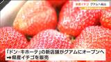 宮城県産イチゴを「ドン・キホーテ」のグアム新店舗で販売 6月中旬までに約4万パック出荷予定|TBS NEWS DIG