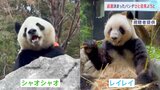「お別れ」発表後はじめての週末　上野動物園前に長い列　パンダ「シャオシャオ」と「レイレイ」　予約なしでの観覧はあす（21日）が最終日|TBS NEWS DIG