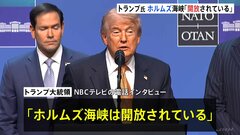 トランプ大統領 ホルムズ海峡「開放されている」　NBCテレビの電話インタビューで| TBS CROSS DIG with Bloomberg