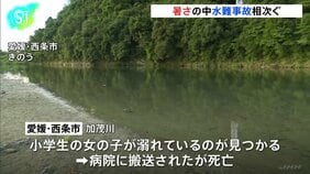 猛烈な暑さの中、全国で水難事故相次ぐ… 神奈川でフィジー国籍男性(32)が死亡、小学5年生男児が意識不明の重体 愛媛で小学生女児が死亡|TBS NEWS DIG