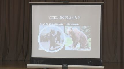 クマの生態「家族にも伝えたい」相次ぐ被害で小学生に特別授業 福島