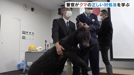 早くもクマ ! 「最終手段は両手で頭部を守ってうつ伏せに」警察官が
