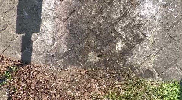 豊丘村で乗用車がコンクリートブロックの壁に衝突　飯田市の39歳男性が死亡　現場は緩やかな右カーブ　長野|TBS NEWS DIG