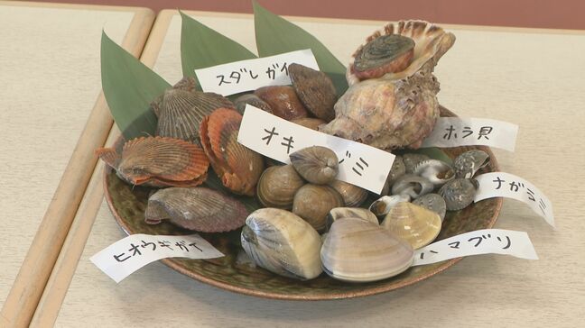 アサリ不漁の中…新たな「アサリ以外の」名物を探る! 試食会で登場した7種類の貝 選ばれた人気ベスト3は? 愛知・田原市|TBS NEWS DIG