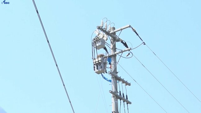 巣の素材が電線に触れると停電になる恐れも 電力会社がカラスの巣の撤去作業公開 岩手・一関市|TBS NEWS DIG