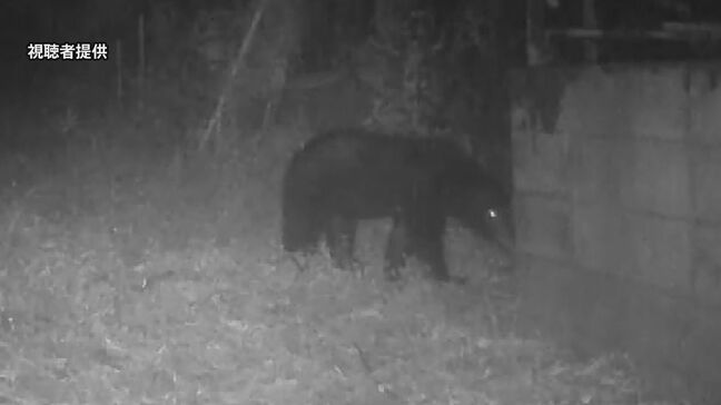 東京・八王子などでハンターがクマのパトロールを実施　春のパトロールは初めて|TBS NEWS DIG