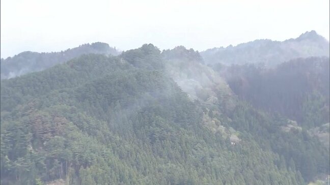 28日夕方から夜にかけ15mmの雨が降る見込み 大槌町山林火災発生から7日目 消火活動続く 岩手|TBS NEWS DIG