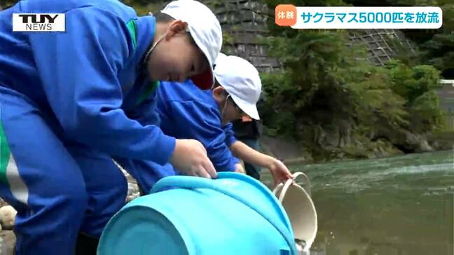 「3年後また会おうね」小学生が県の魚 "サクラマス" の幼魚を放流 数年後の再会願う(山形)|TBS NEWS DIG