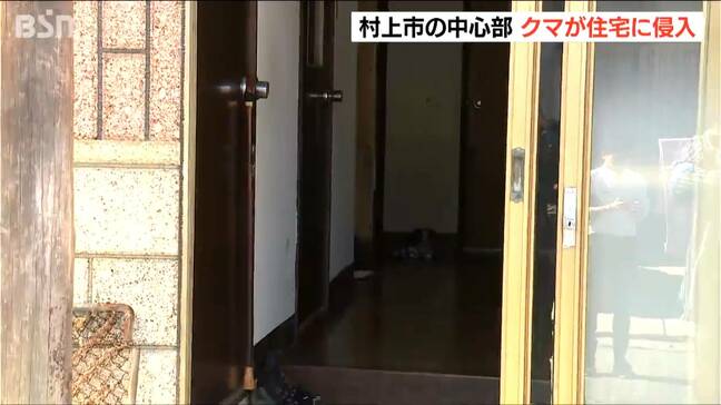 クマがガラスを割って民家に侵入 住人2人は2階に逃げて無事　新潟・村上市|TBS NEWS DIG